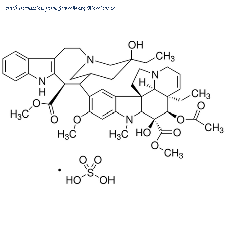 StressMarq Biosciences SIH-407-5MG image 1