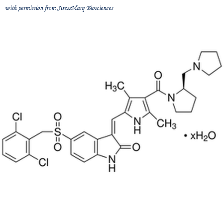 StressMarq Biosciences SIH-421-5MG image 1