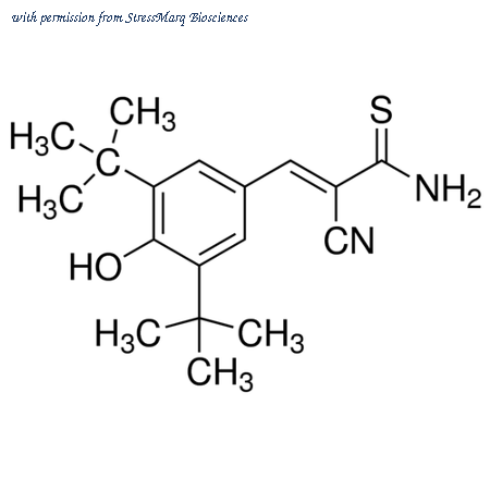 StressMarq Biosciences SIH-429 image 1