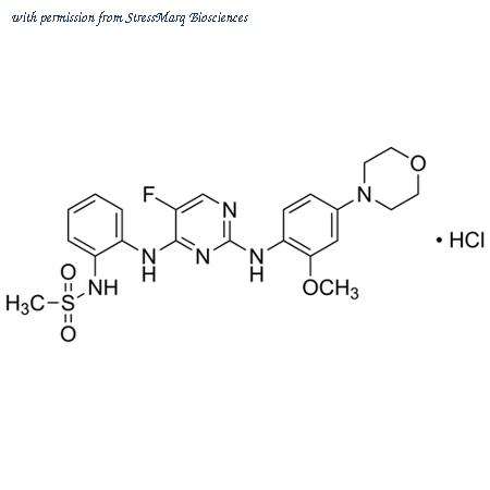 StressMarq Biosciences SIH-439-5MG image 1