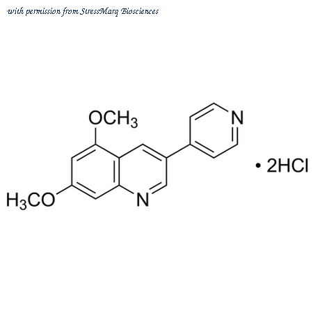 StressMarq Biosciences SIH-441-5MG image 1