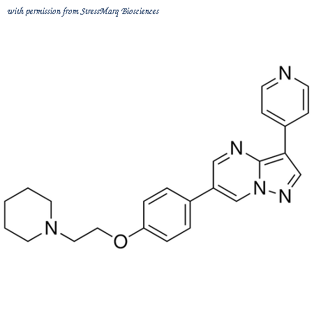 StressMarq Biosciences SIH-443-5MG image 1