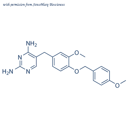 StressMarq Biosciences SIH-449-5MG image 1