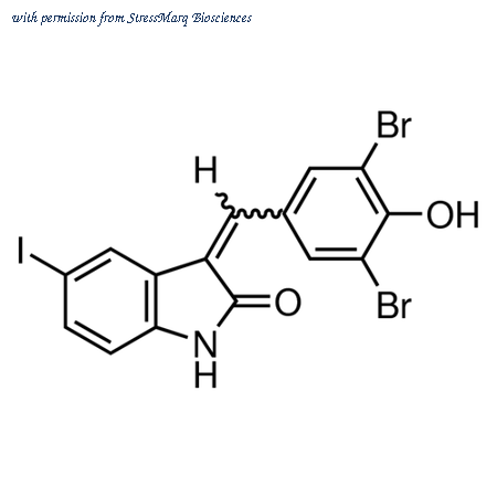 StressMarq Biosciences SIH-451-5MG image 1