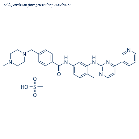 StressMarq Biosciences SIH-453 image 1