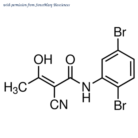 StressMarq Biosciences SIH-461 image 1