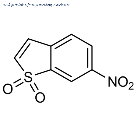 StressMarq Biosciences SIH-554-5MG image 1