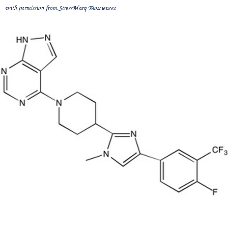 StressMarq Biosciences SIH-462 image 1