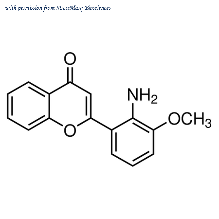 StressMarq Biosciences SIH-466 image 1
