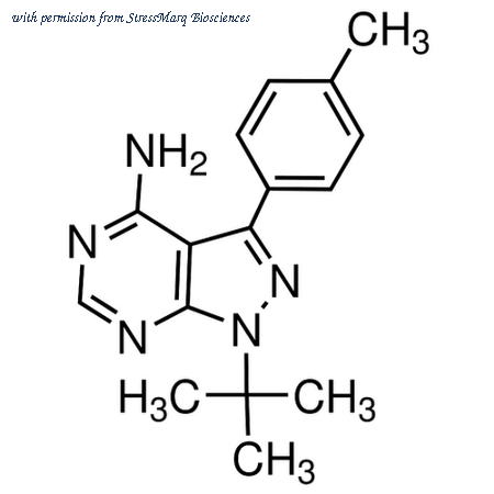 StressMarq Biosciences SIH-469 image 1