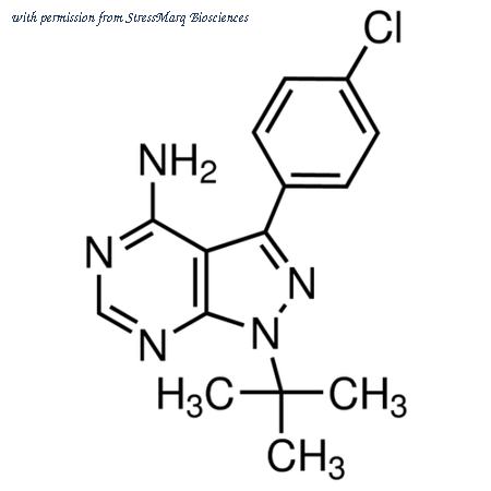 StressMarq Biosciences SIH-470 image 1