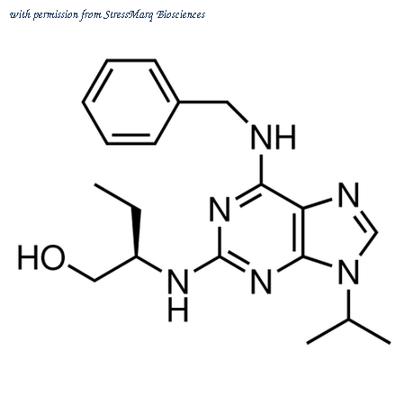 StressMarq Biosciences SIH-472 image 1