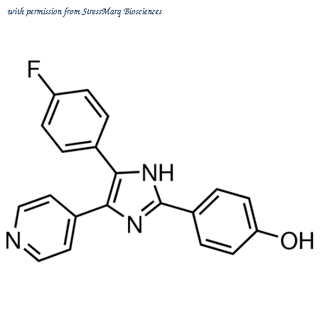 StressMarq Biosciences SIH-473 image 1