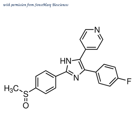 StressMarq Biosciences SIH-474 image 1