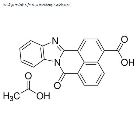 StressMarq Biosciences SIH-479 image 1