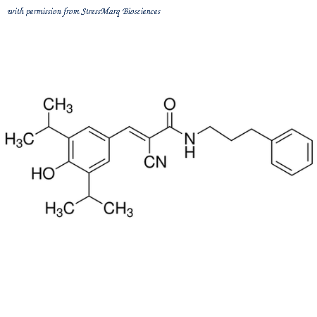 StressMarq Biosciences SIH-480 image 1