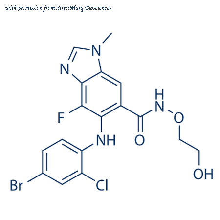 StressMarq Biosciences SIH-495 image 1
