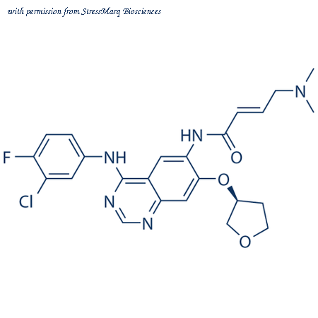 StressMarq Biosciences SIH-496 image 1