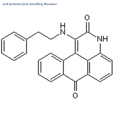 StressMarq Biosciences SIH-497 image 1
