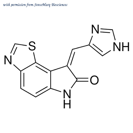 StressMarq Biosciences SIH-498 image 1
