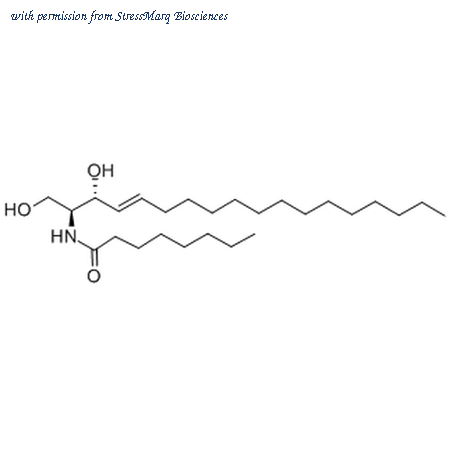 StressMarq Biosciences SIH-499 image 1