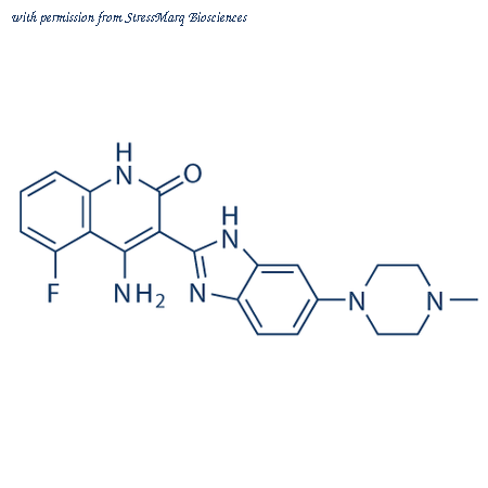 StressMarq Biosciences SIH-500 image 1