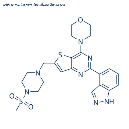 StressMarq Biosciences SIH-501 image 1