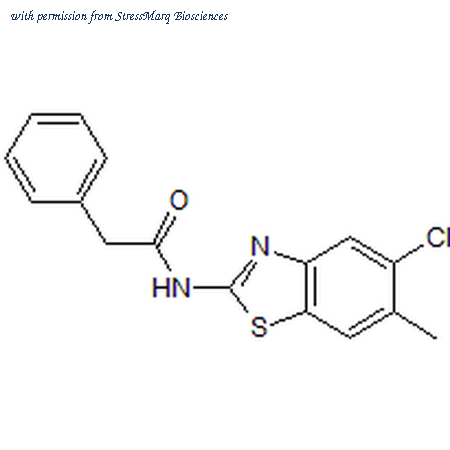 StressMarq Biosciences SIH-503 image 1