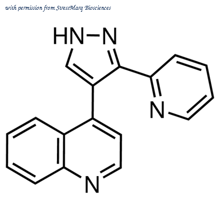 StressMarq Biosciences SIH-504 image 1