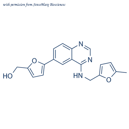 StressMarq Biosciences SIH-505 image 1