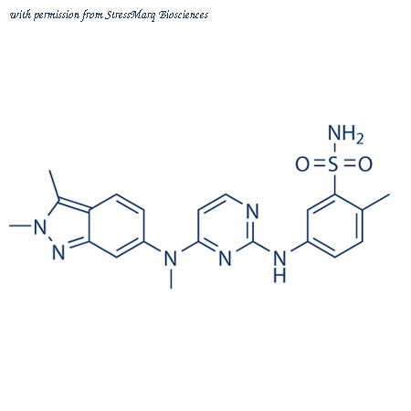 StressMarq Biosciences SIH-506 image 1