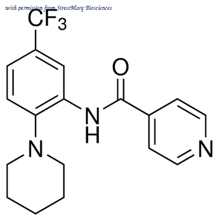 StressMarq Biosciences SIH-514 image 1