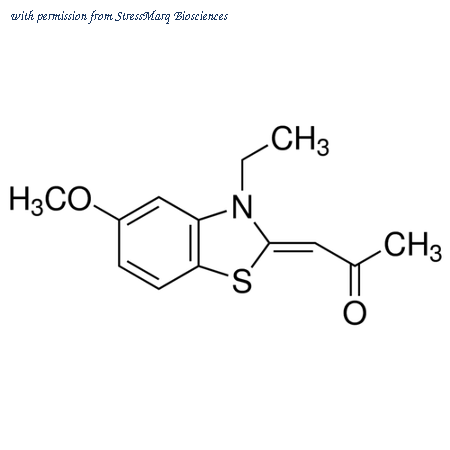 StressMarq Biosciences SIH-515 image 1