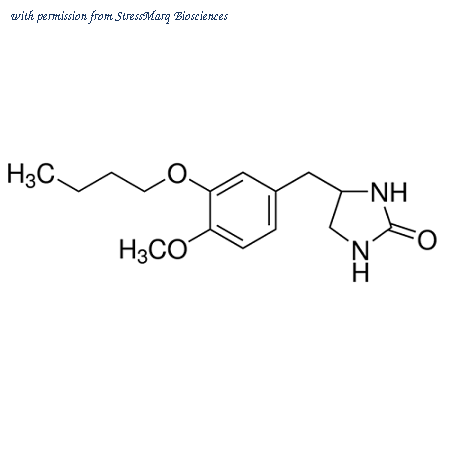 StressMarq Biosciences SIH-527 image 1