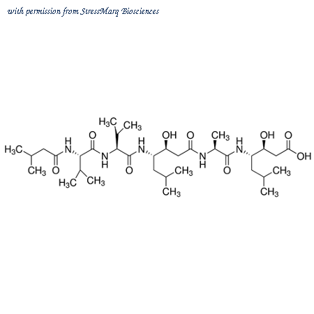 StressMarq Biosciences SIH-533-5MG image 1