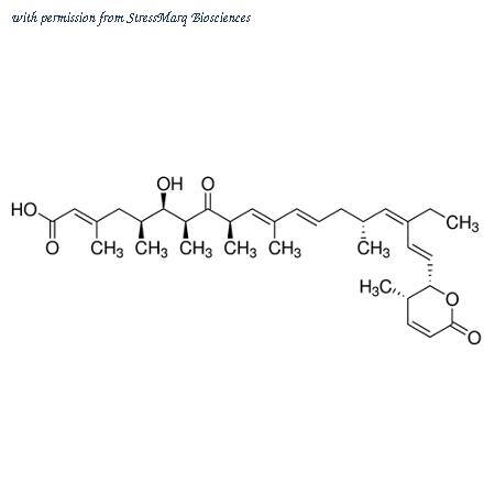 StressMarq Biosciences SIH-534-200UG image 1