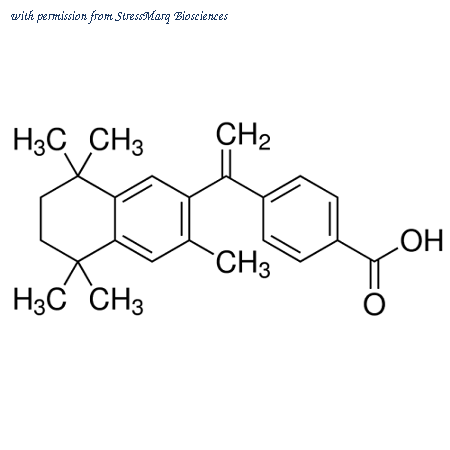 StressMarq Biosciences SIH-535-10MG image 1