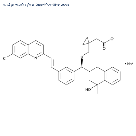 StressMarq Biosciences SIH-538-50MG image 1
