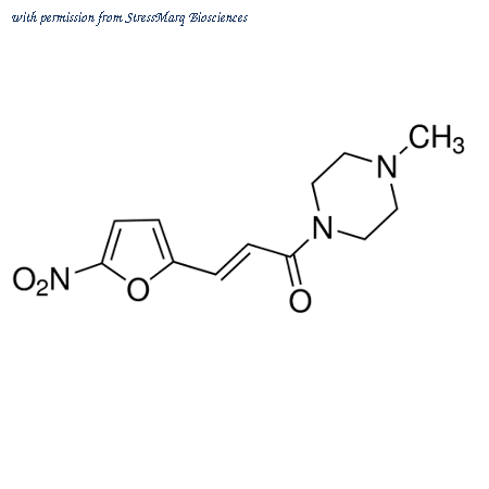 StressMarq Biosciences SIH-542-5MG image 1