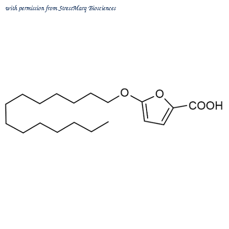 StressMarq Biosciences SIH-555-10MG image 1