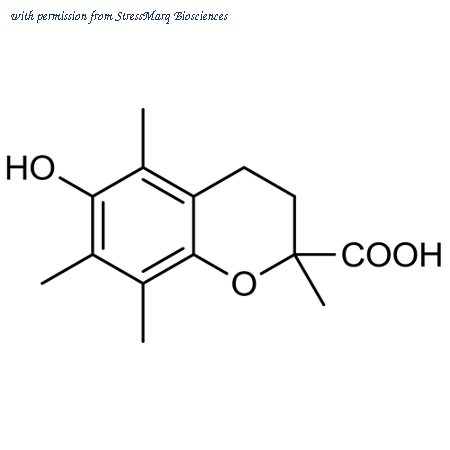 StressMarq Biosciences SIH-556-1G image 1