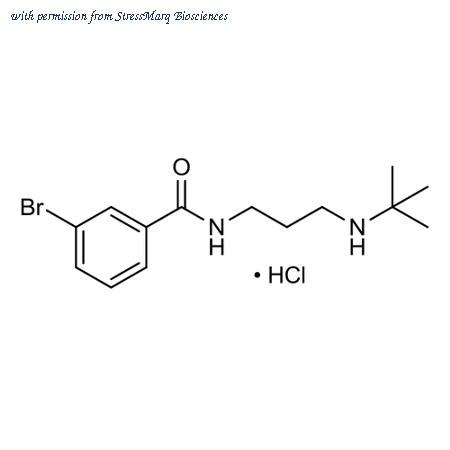StressMarq Biosciences SIH-559-5MG image 1