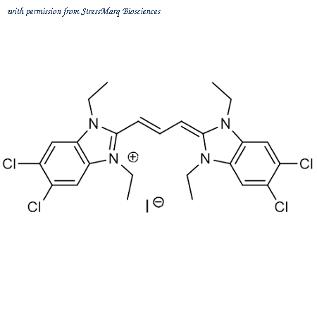 StressMarq Biosciences SIH-562-1MG image 1