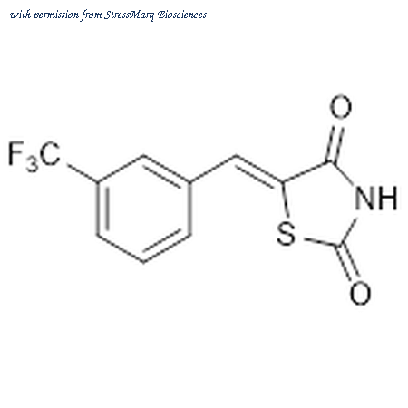 StressMarq Biosciences SIH-572-5MG image 1