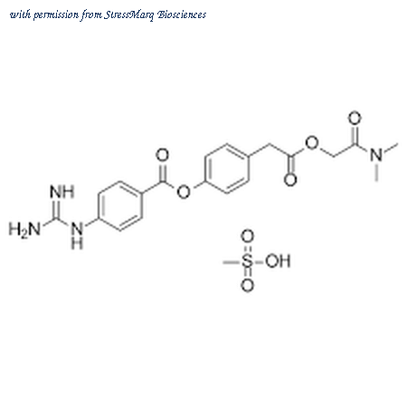 StressMarq Biosciences SIH-585 image 1