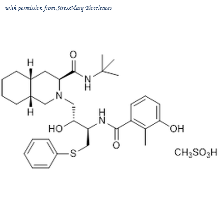 StressMarq Biosciences SIH-586 image 1