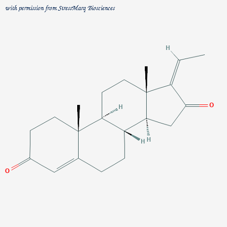 StressMarq Biosciences SIH-591 image 1