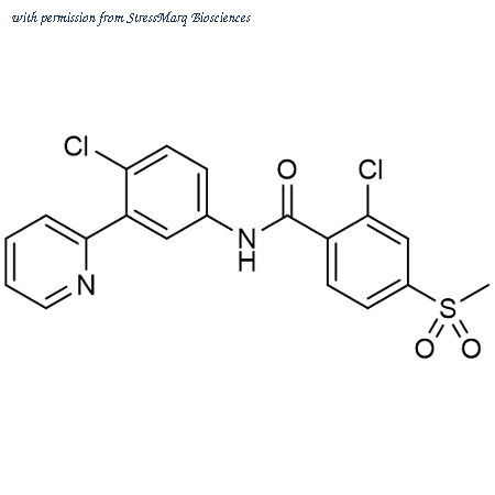 StressMarq Biosciences SIH-565-5MG ͼ 1