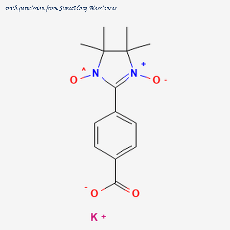 StressMarq Biosciences SIH-594 image 1