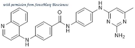 StressMarq Biosciences SIH-596 image 1